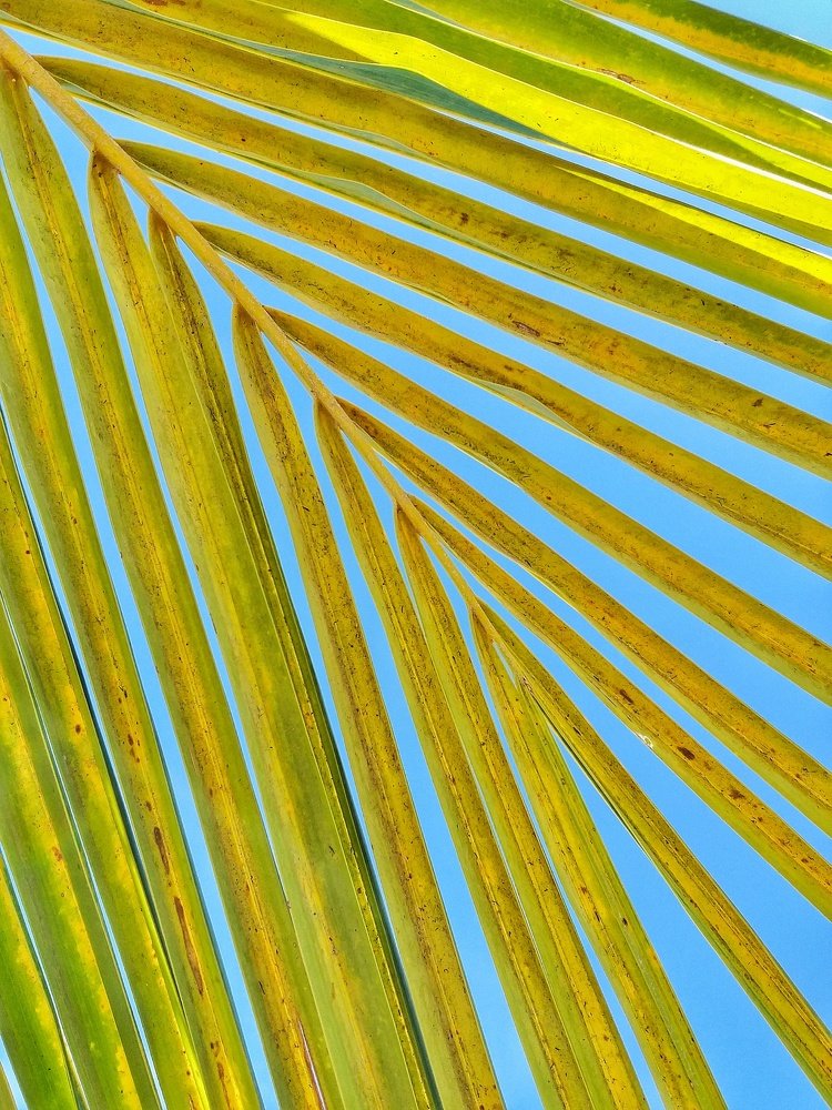 Photograph by Leni Tangmau