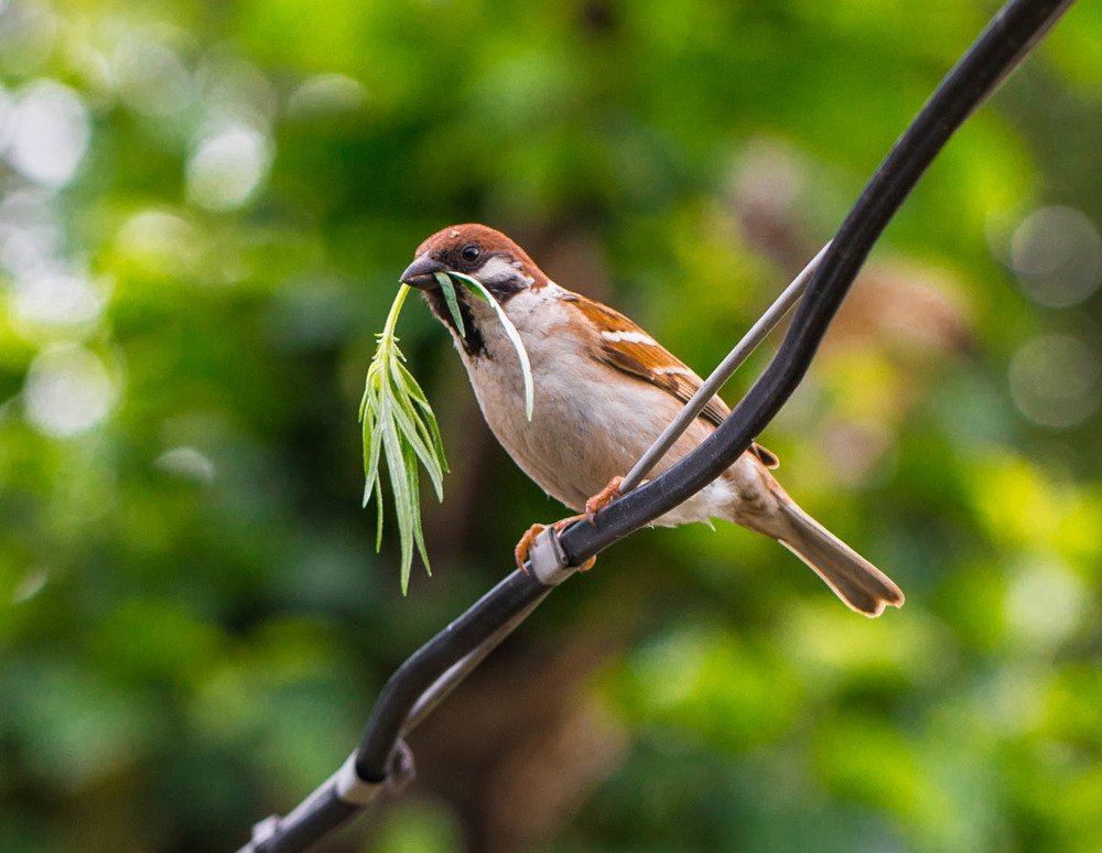 На свидание.