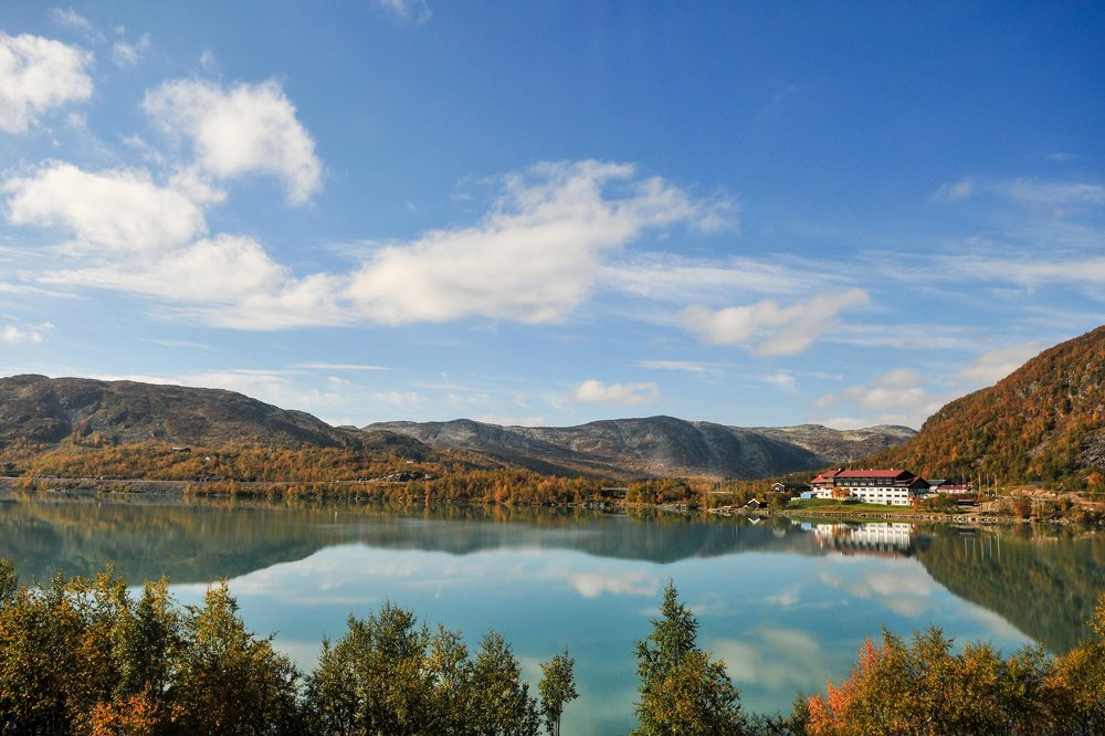 Photograph by Long Nguyen