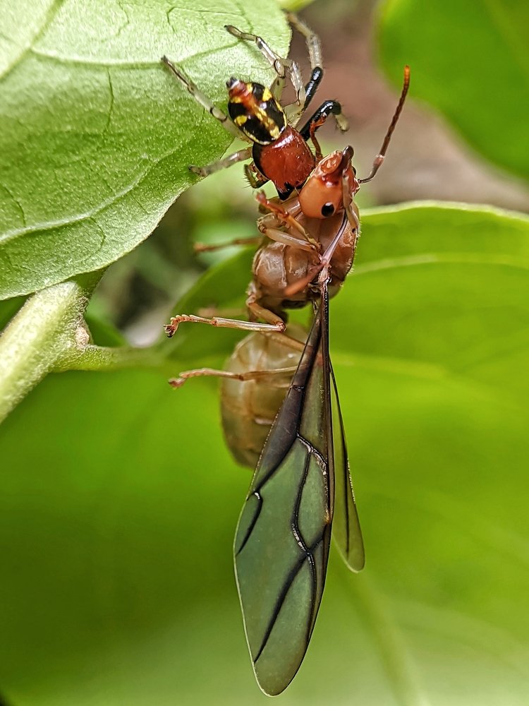 Photograph by Shipon Mostafa