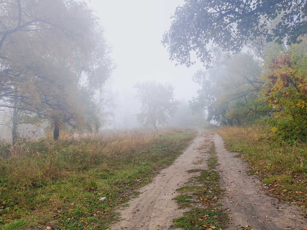 Photograph by mikhail goryachev