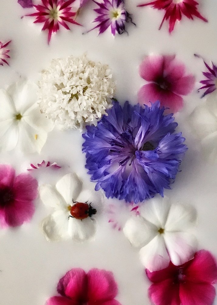 Молочные реки