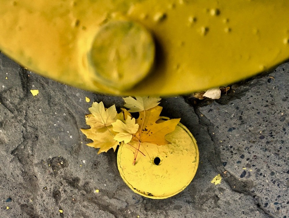 Photograph by Елена Ким