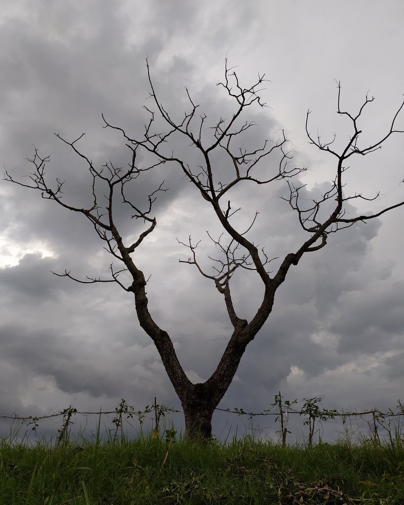 Photograph by Daniel Dans