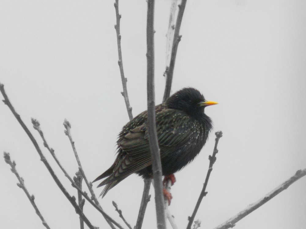 Photograph by Никита Казаков