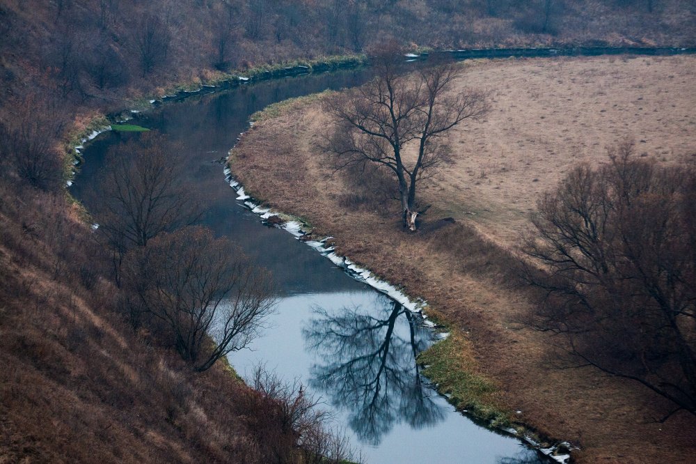 Photograph by mikhail goryachev