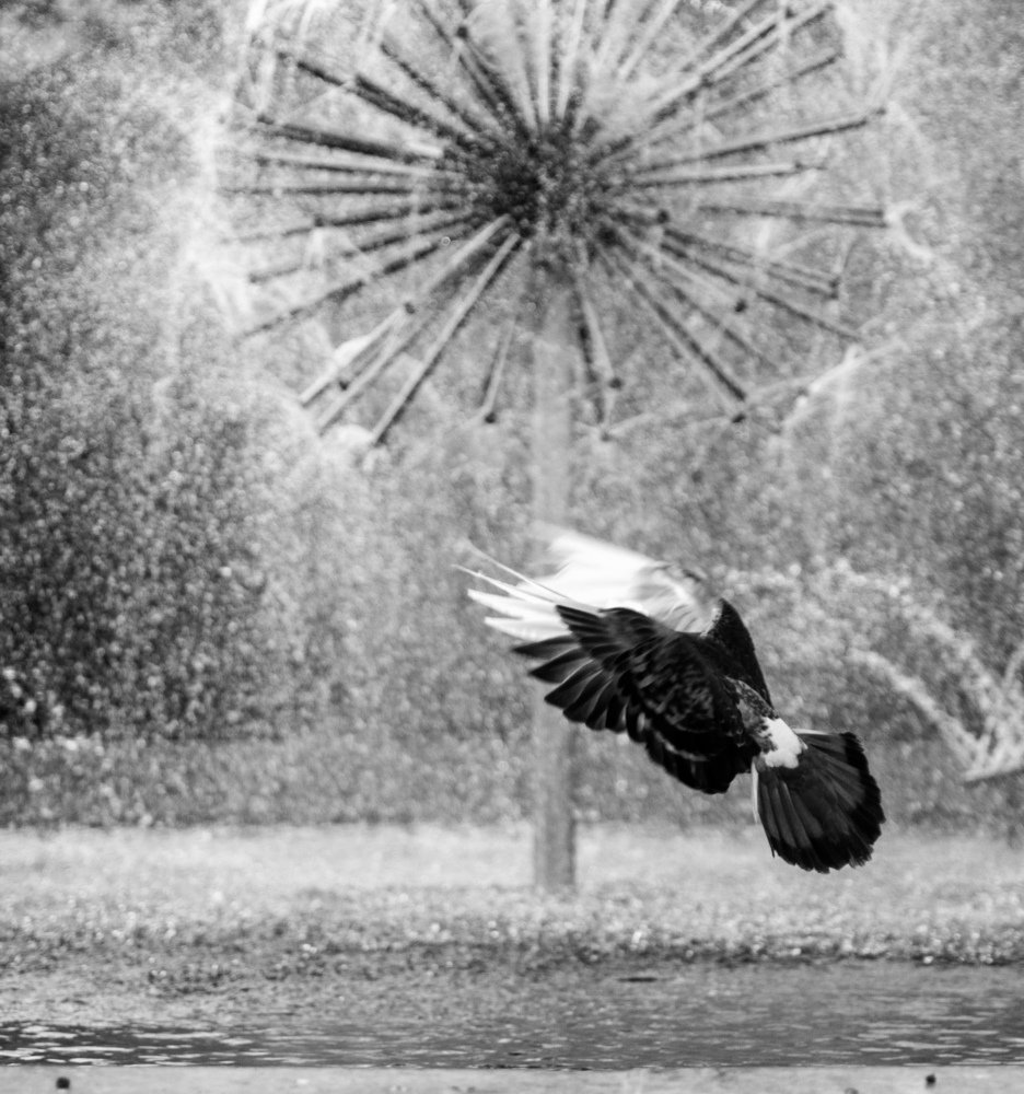 Photograph by Константин Бокарев