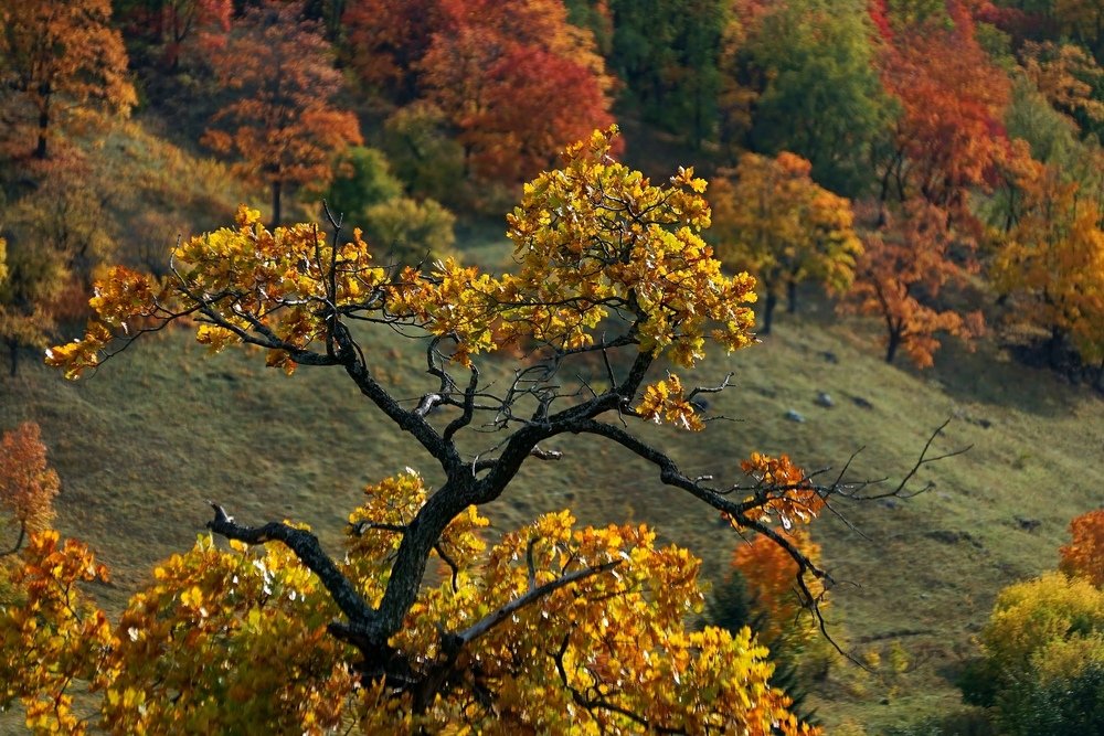 Photograph by Александр Попов