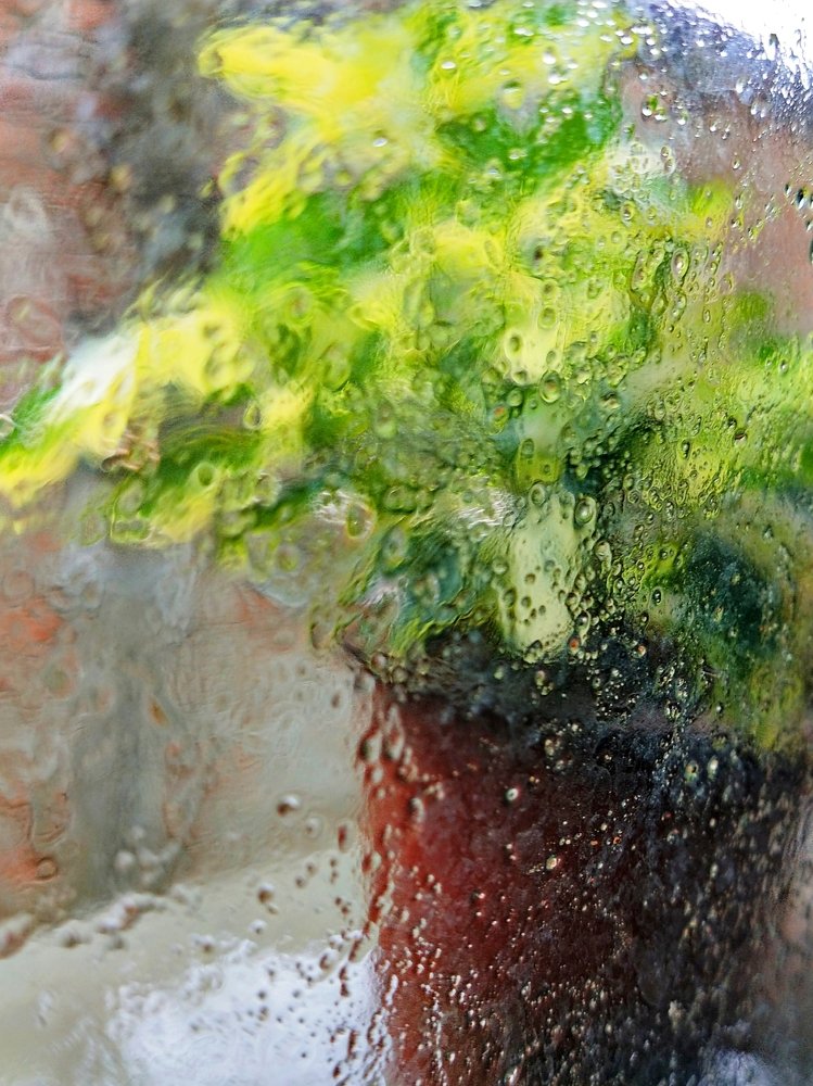 Canvas of Rain