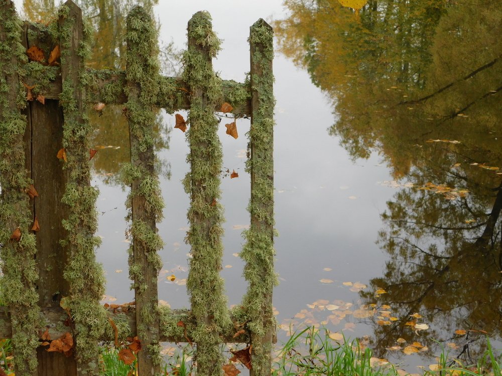 Photograph by Елена Грошева