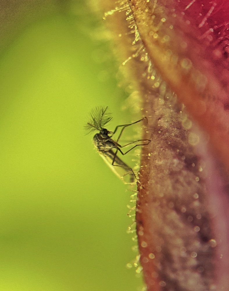 Photograph by Daniela