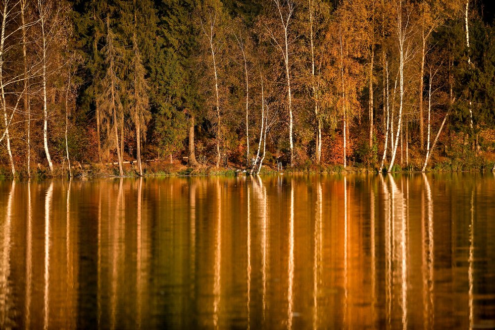 Photograph by Sergey Uskov