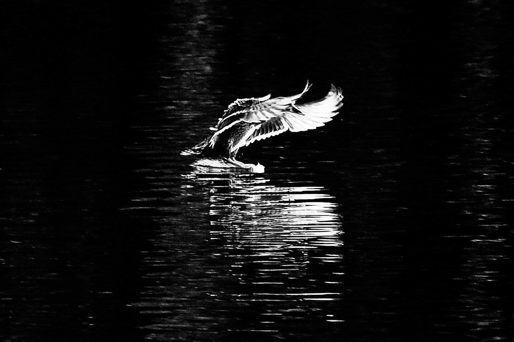 Photograph by Иван Мороз