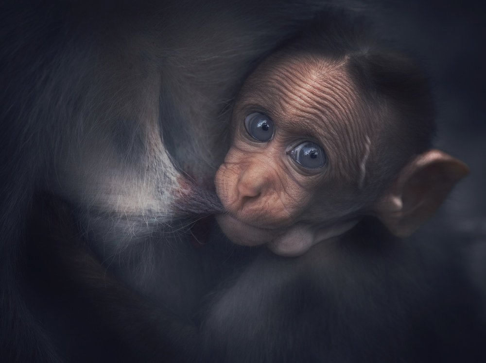 Photograph by Anirudh Vidyabhushan