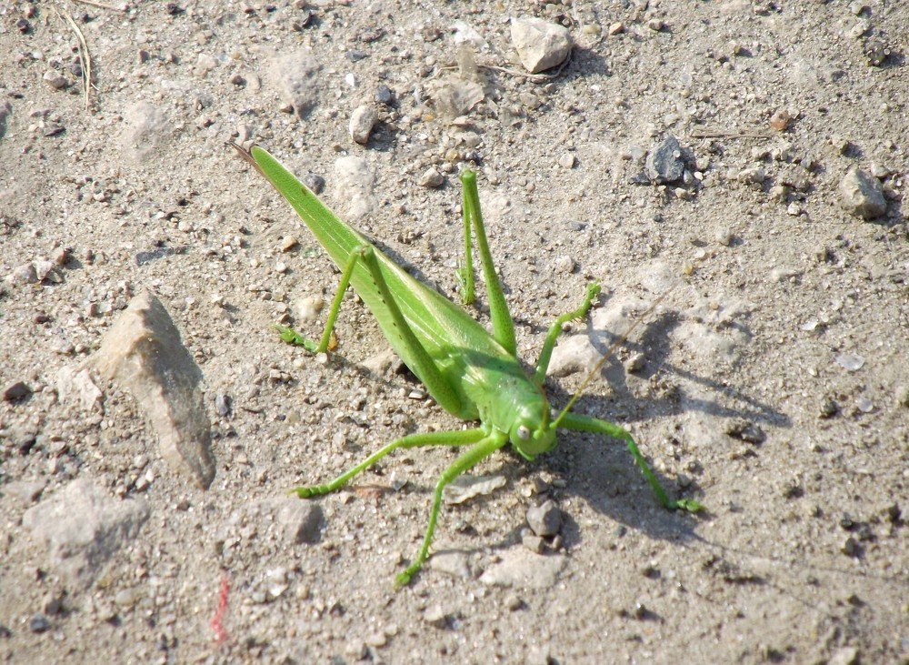 Photograph by Елена Стрельцова