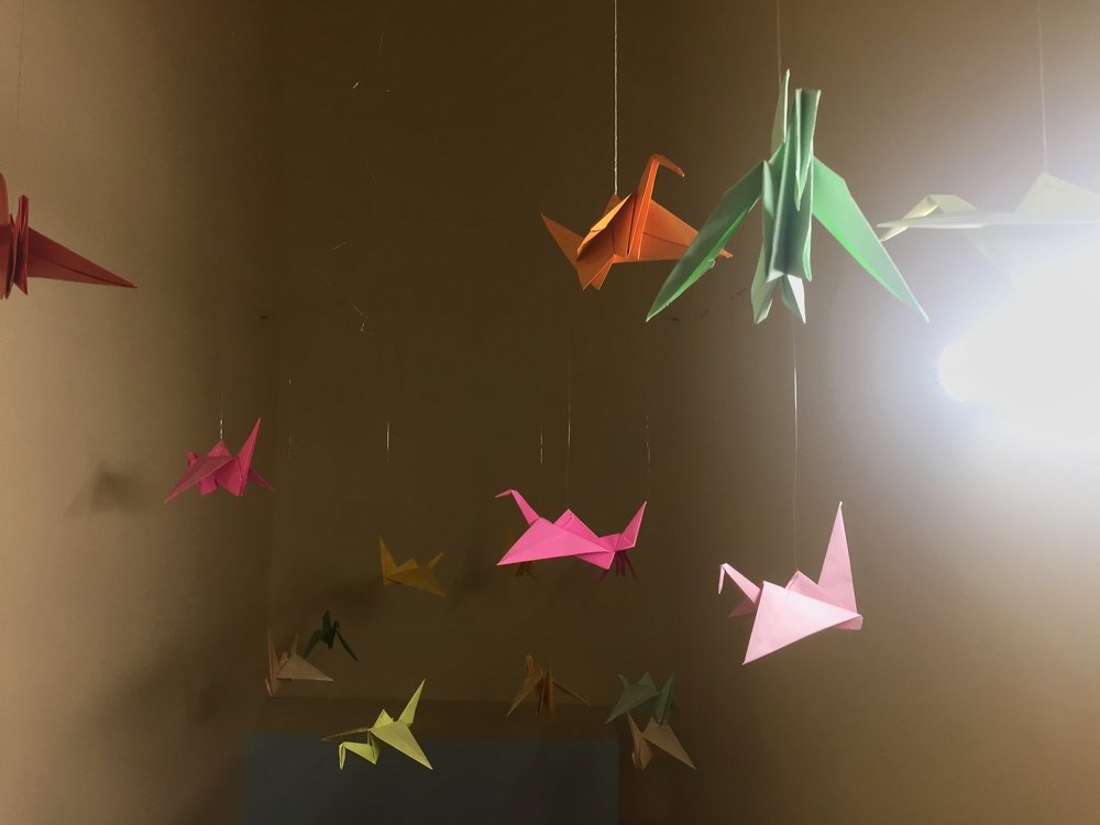 Photograph by Екатерина Амирасланова