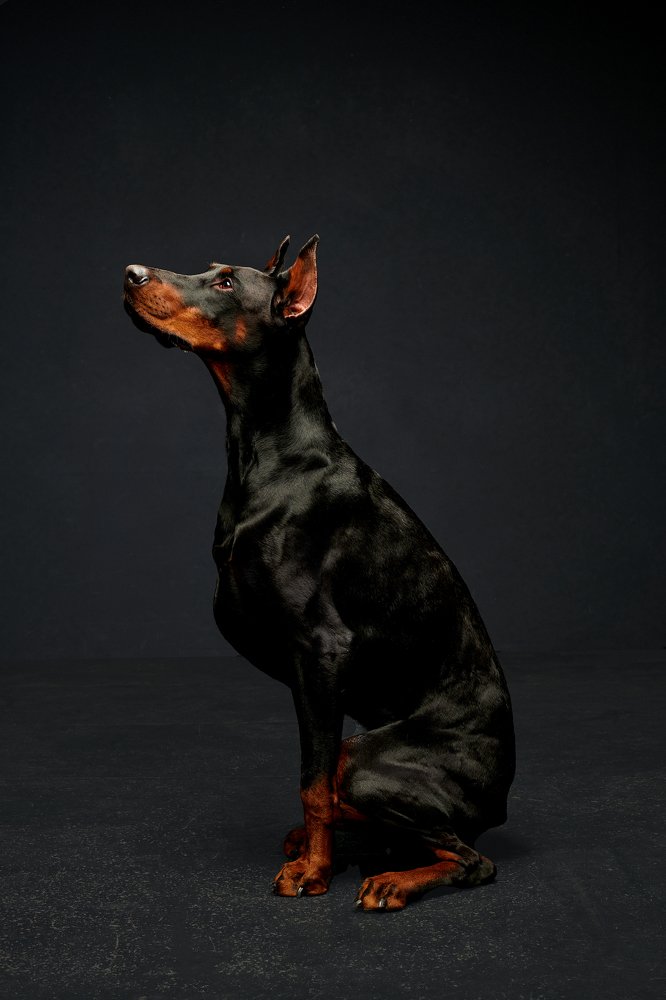 Photograph by Александра Нечаева