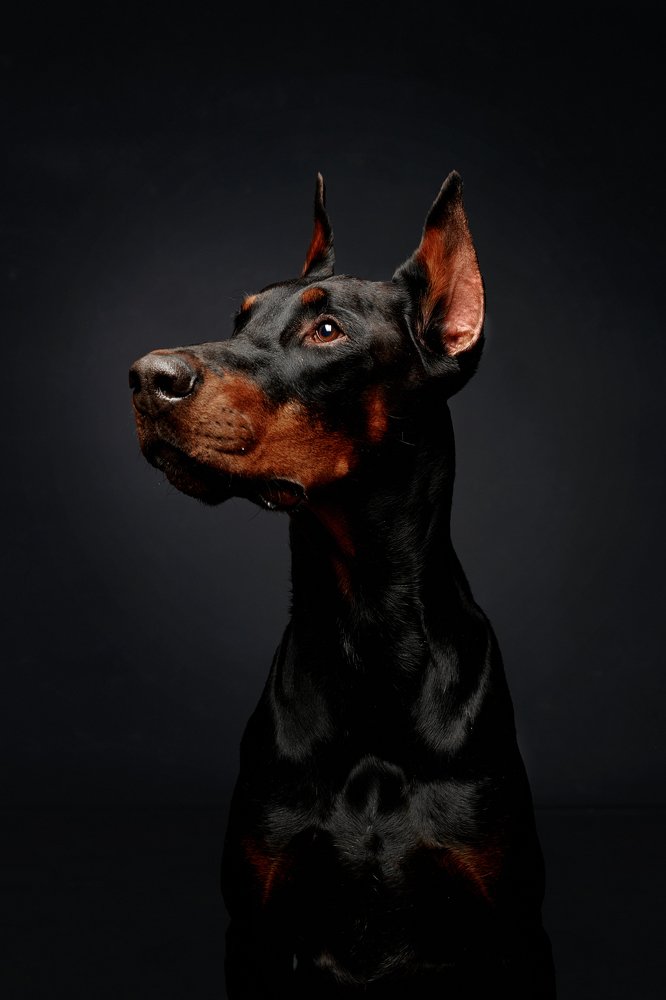 Photograph by Александра Нечаева