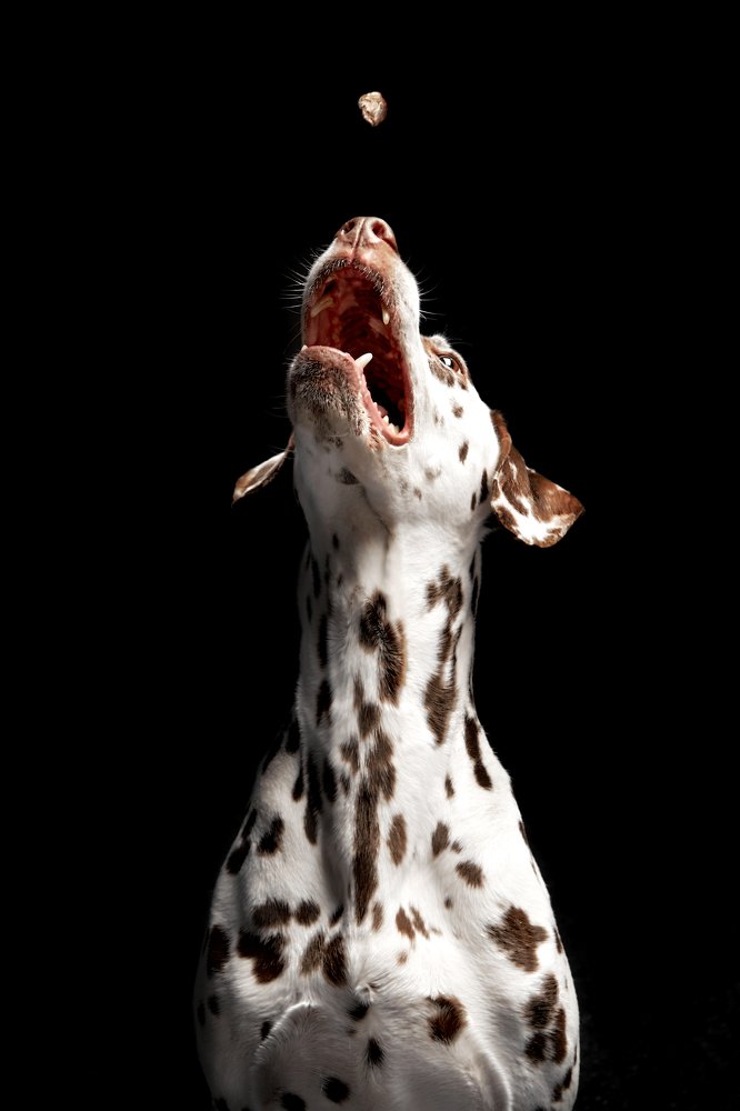 Photograph by Александра Нечаева