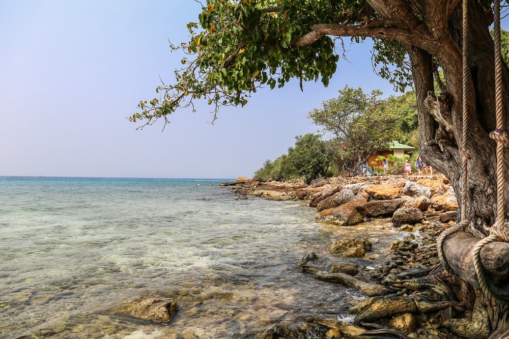 Photograph by Александр Карасев