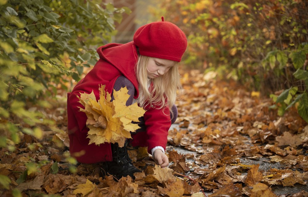Осень в провинции