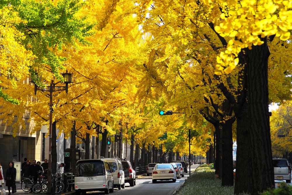 Photograph by mypure heart