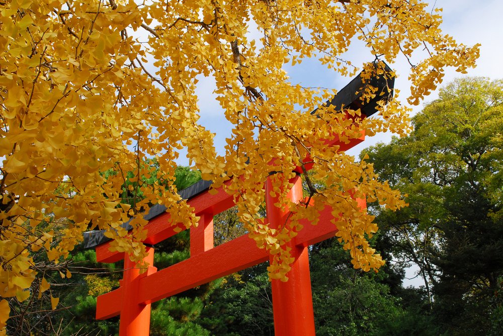 Photograph by mypure heart