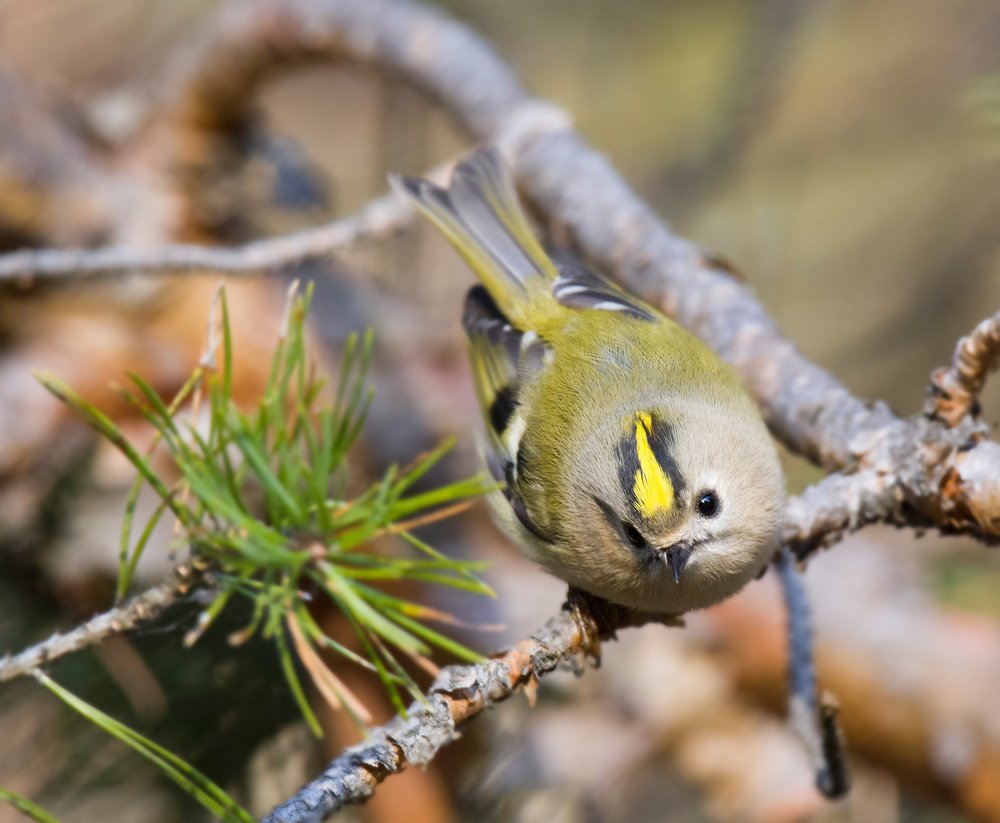 Photograph by Константин Данилов