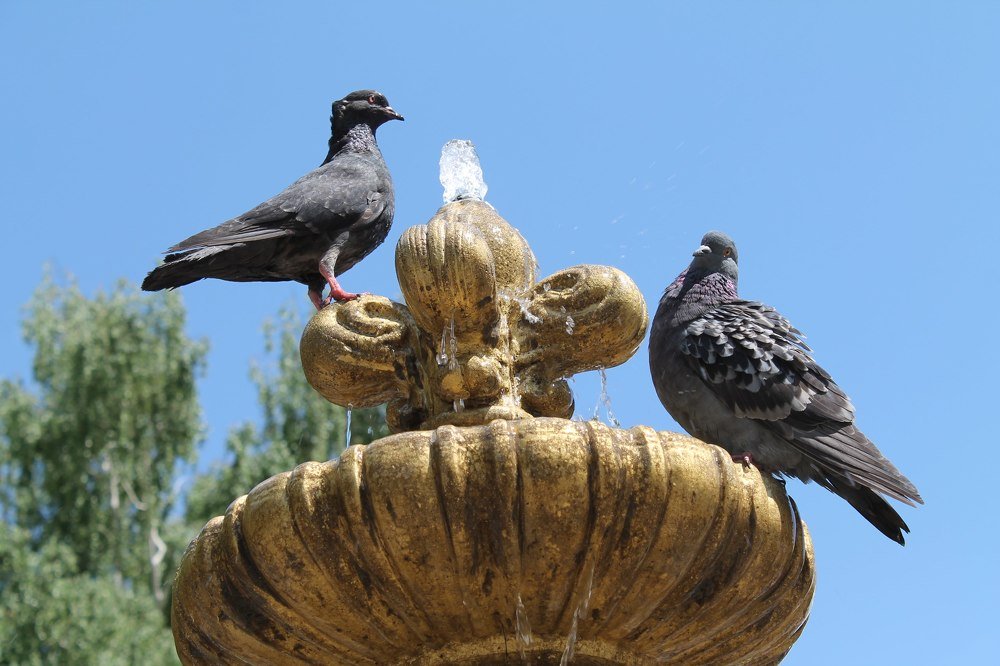 Photograph by Ekaterina