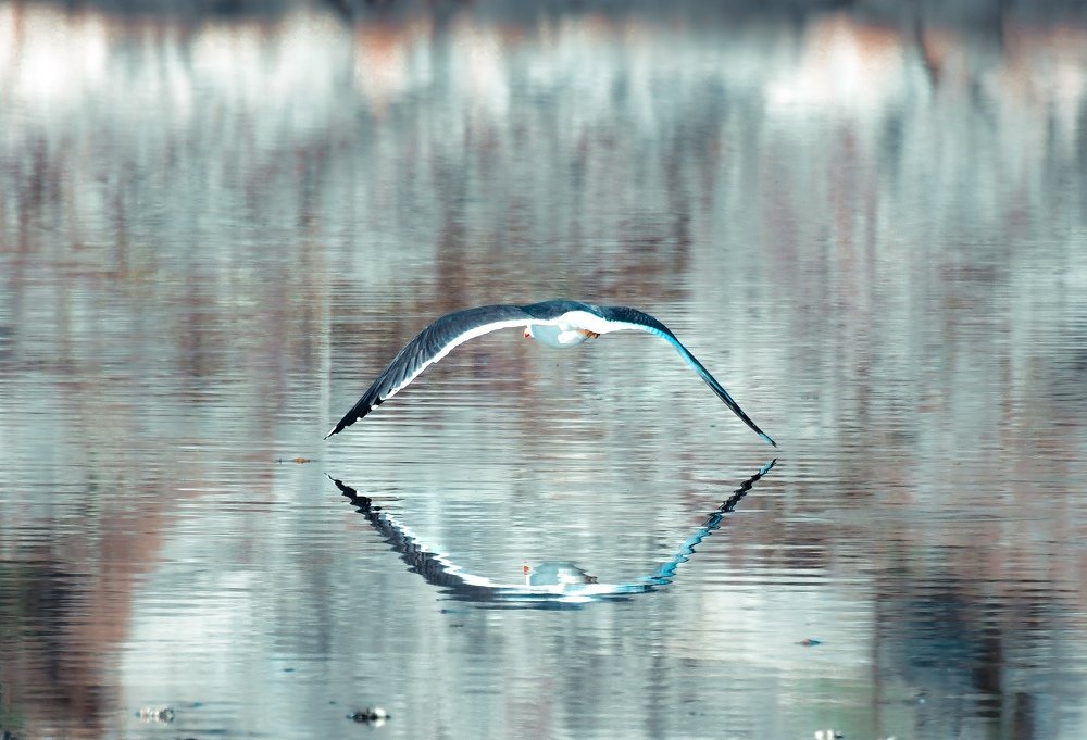 Фотография автора Anna NovaLova