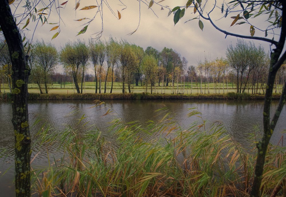 Photograph by Irina Grigoryeva