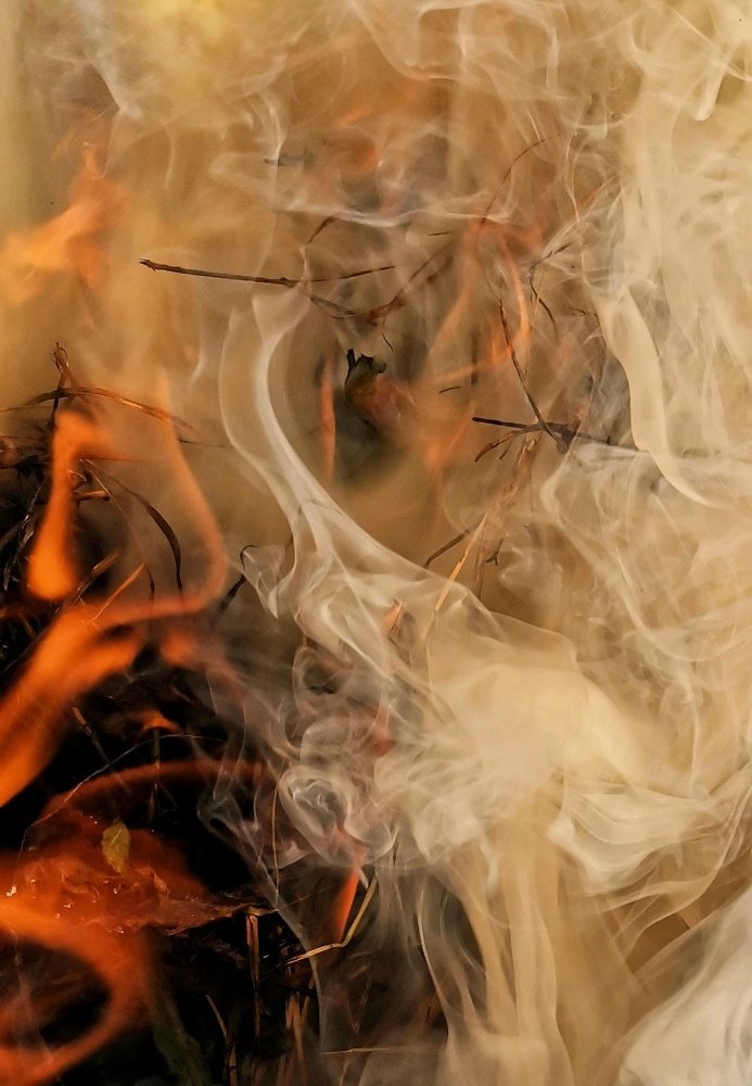 Photograph by Елена Вакумова