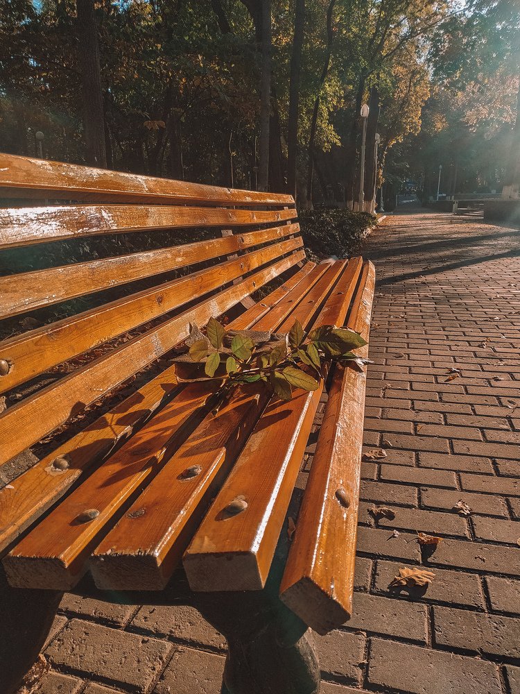 Photograph by Irina Grass