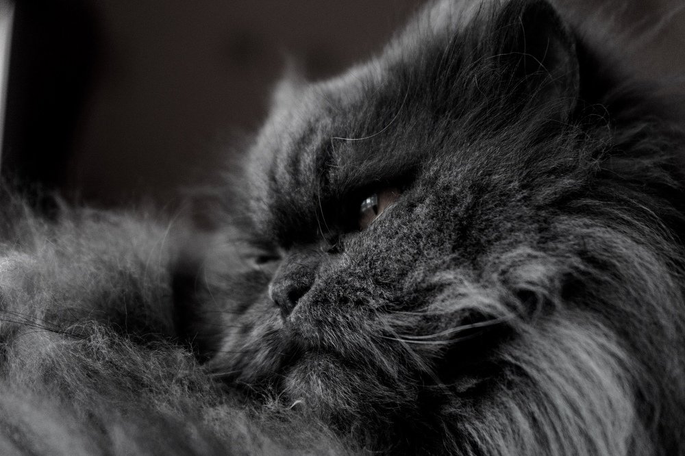 Photograph by никита риер