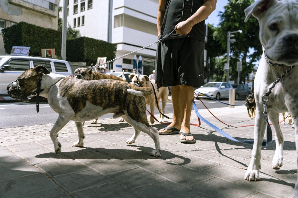 Photograph by никита риер