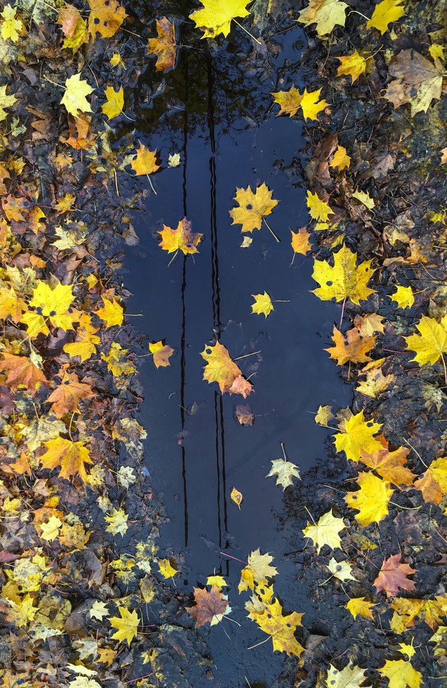 Photograph by Татьяна Трошина