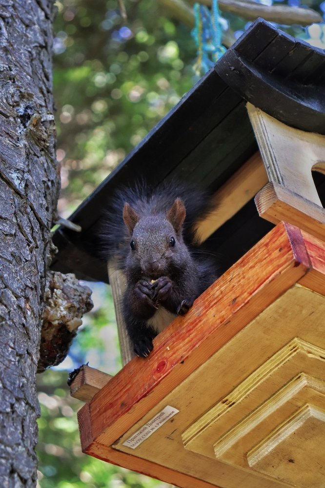 Photograph by Кристина Шигина