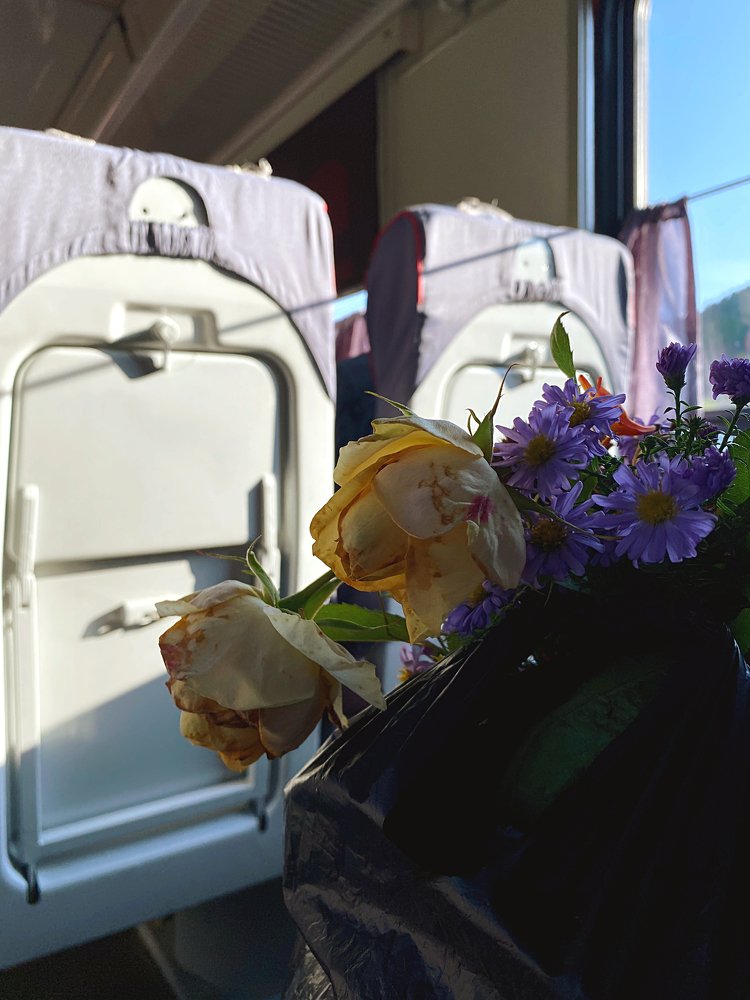 Photograph by Кристина Шигина