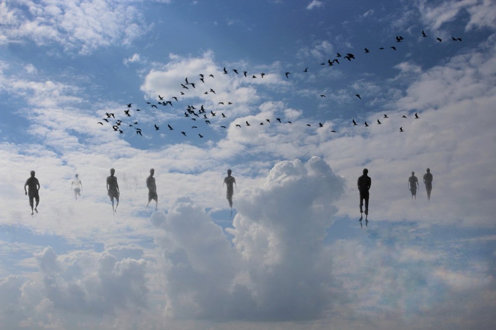 Photograph by DIBAKAR ROY