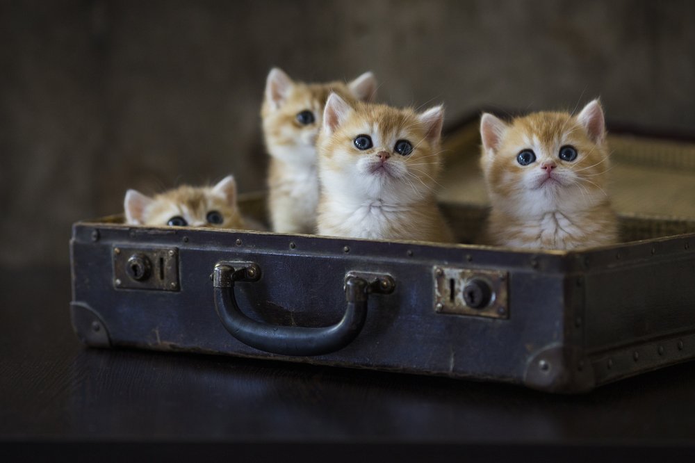 Photograph by Екатерина Фокина