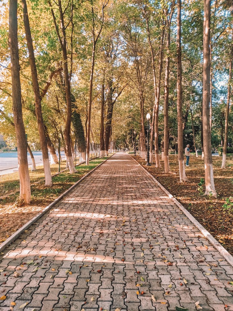 Photograph by Irina Grass