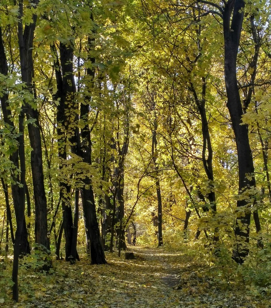 Photograph by Нурия Бикинеева