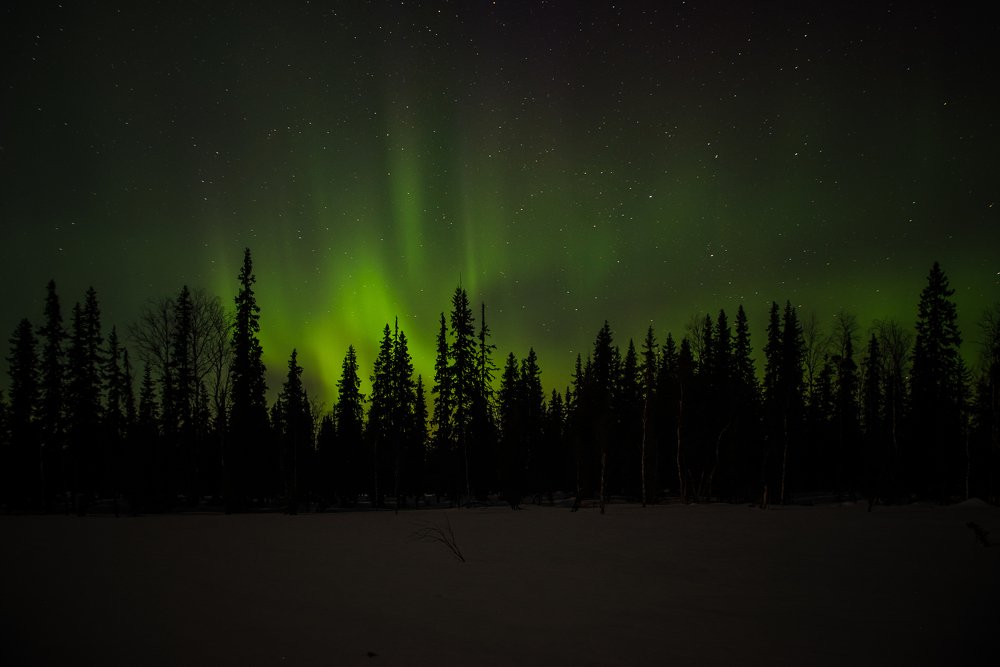 Photograph by Сергей Пашнов