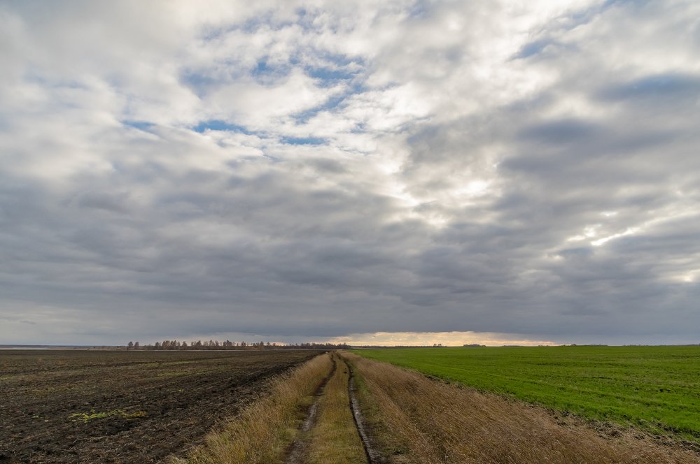 Photograph by Сергей Пашнов