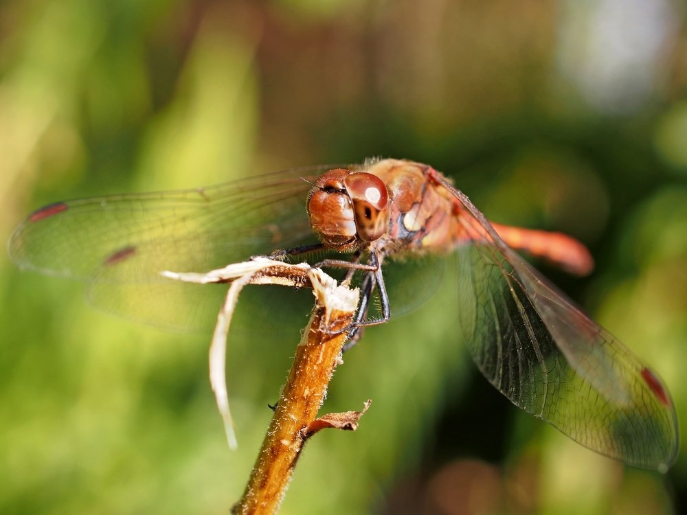 Photograph by Eugene Degtyaryov