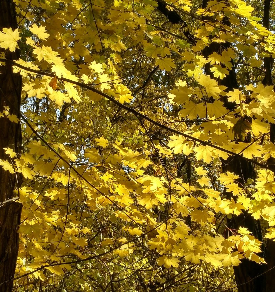 Photograph by Нурия Бикинеева