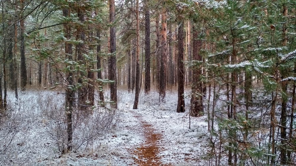 Осень в Сибири