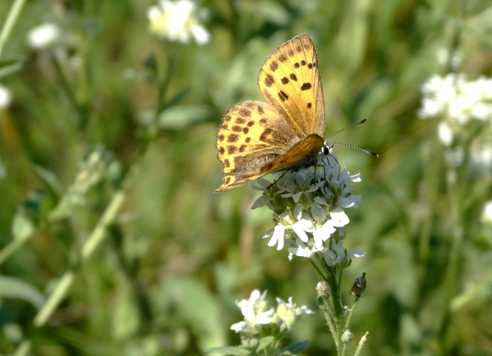 Photograph by Sylwia Wirkowska