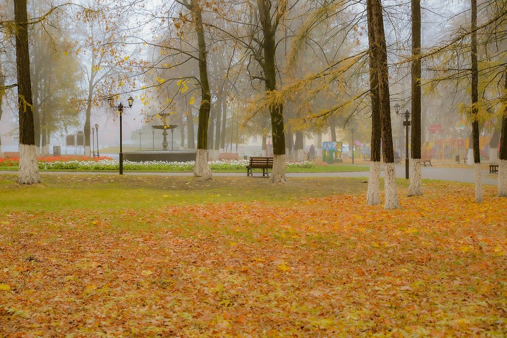 Утро туманное