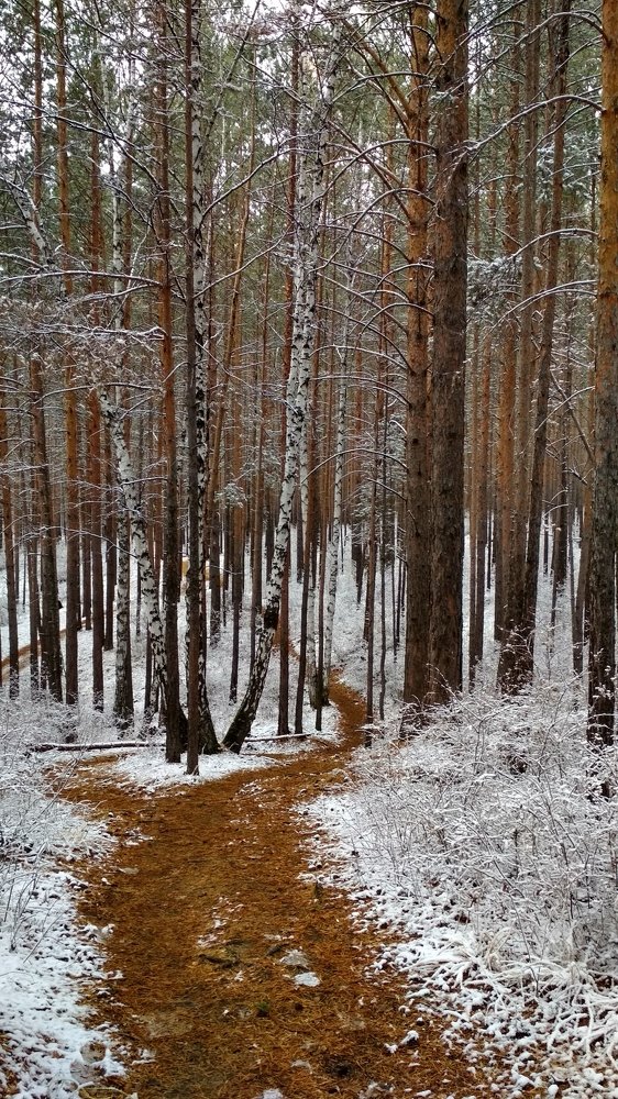Photograph by Ольга Васильева